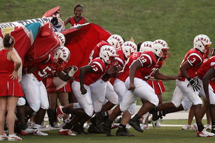 开yun官网-国家队技战术水平提升瓶颈，国家技巧队